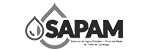 SAPAM
